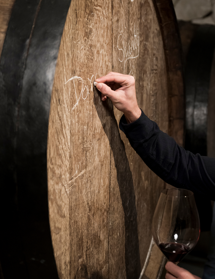 Le Sommelier: Винний ґік